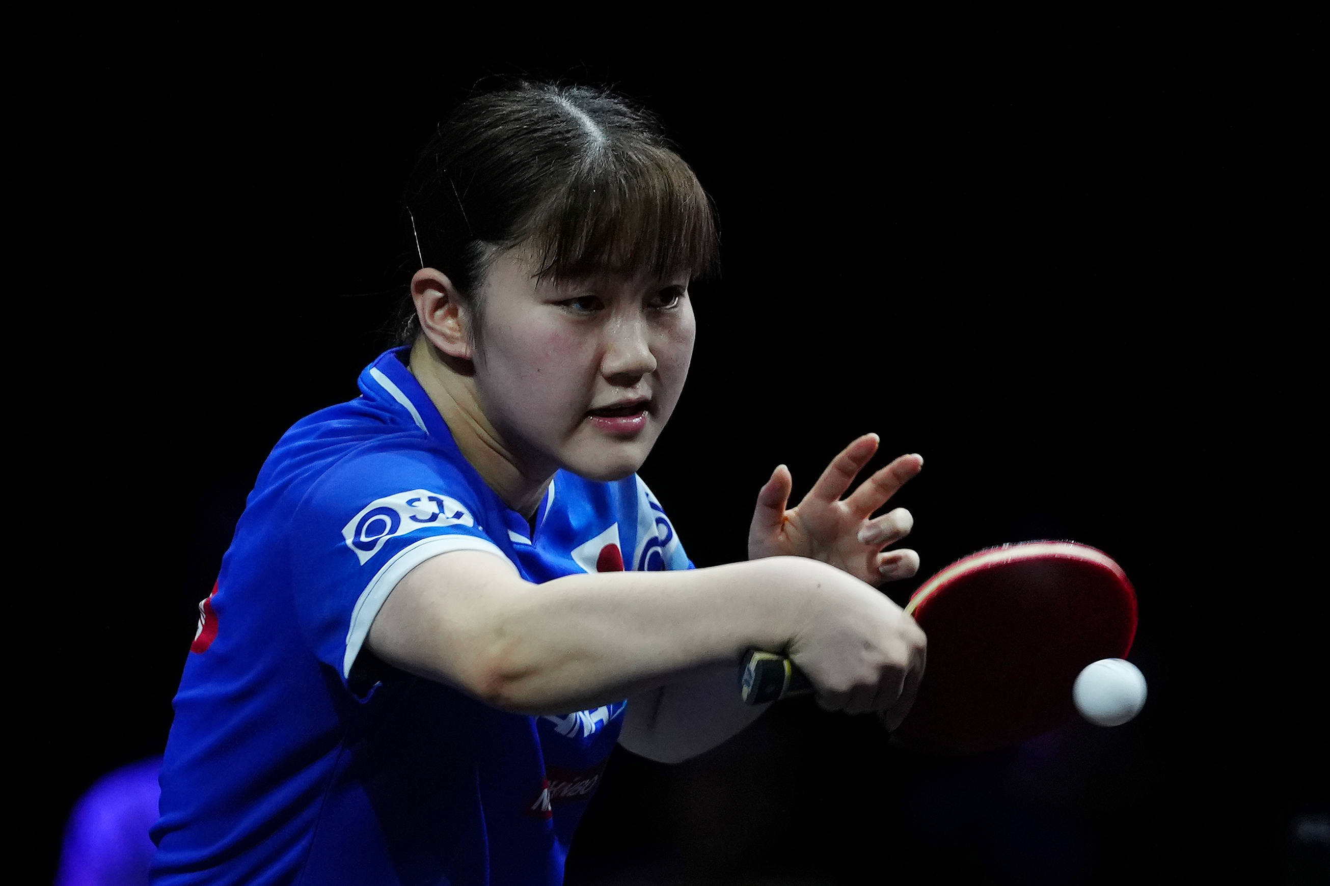 展示了作为 展示了作为