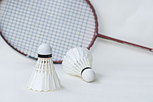 的积极投入 的积极投入