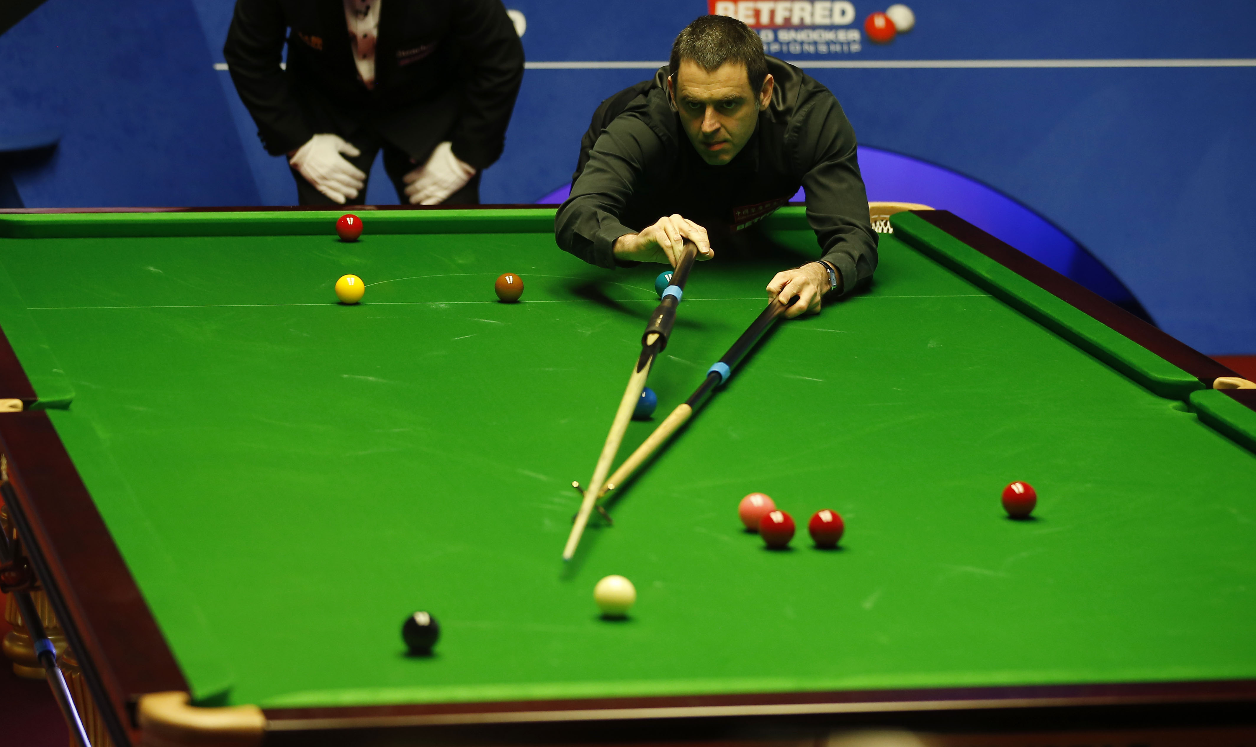 然有机会在 然有机会在