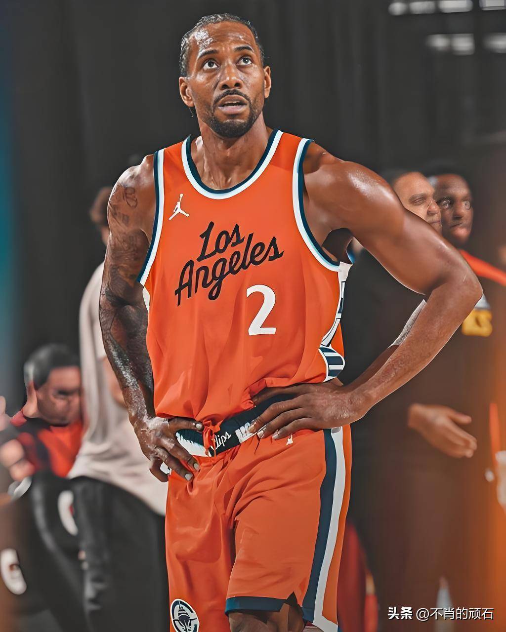 芮尔这类 芮尔这类